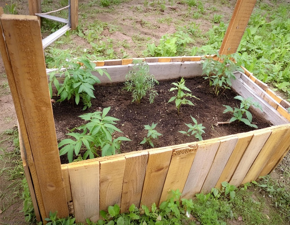 Raised Bed Pallet Planter 1